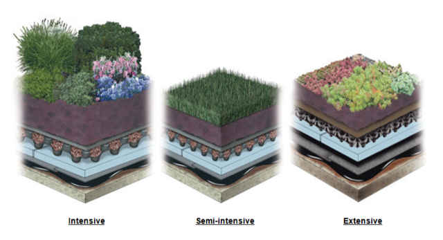Types of Green roof