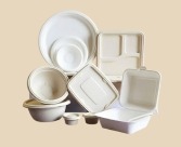 Bagasse Products